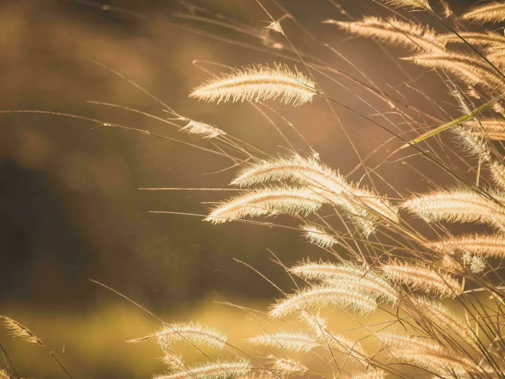 deuil difficile près de Ceyreste
