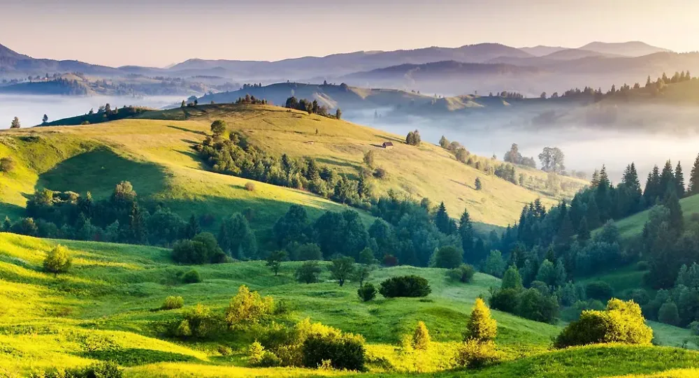 Nadège Michel (1)webp